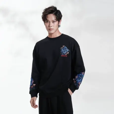 重磅纯棉套头卫衣男百搭刺绣印花简约日常休闲舒适通勤风圆领上衣商品大图