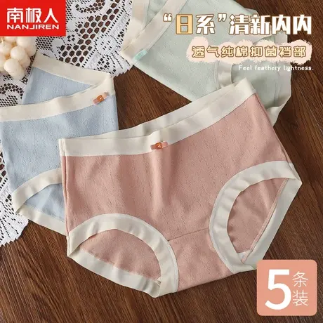 南极人内裤女士纯棉全棉裆抗菌女生短裤夏季薄款舒适包臀少女透气商品大图