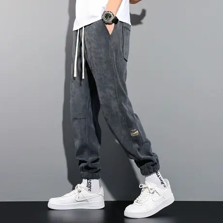 博澳绒长裤子男春秋冬款韩版潮流百搭卫裤宽松加厚运动休闲束脚裤图片