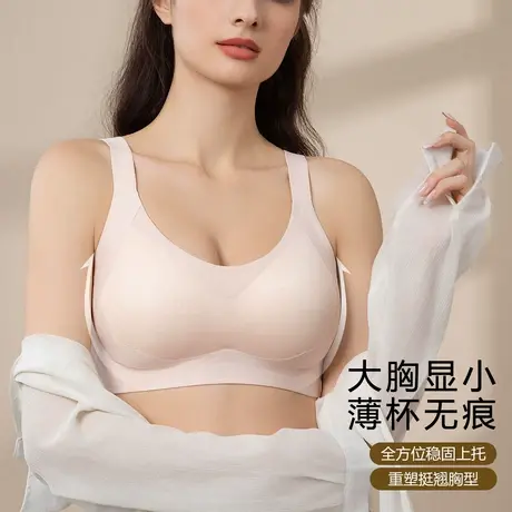 sharefun全罩杯大胸显小提拉收副乳内衣女聚拢上托无钢圈文胸女士商品大图