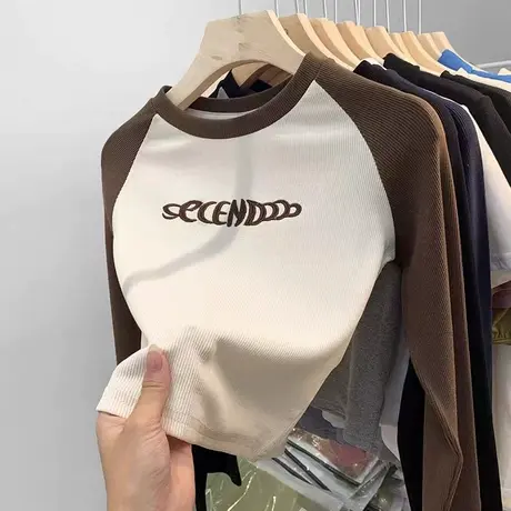 长袖T恤女2023秋季新款韩版小个子字母刺绣花上衣修身内搭打底衫商品大图