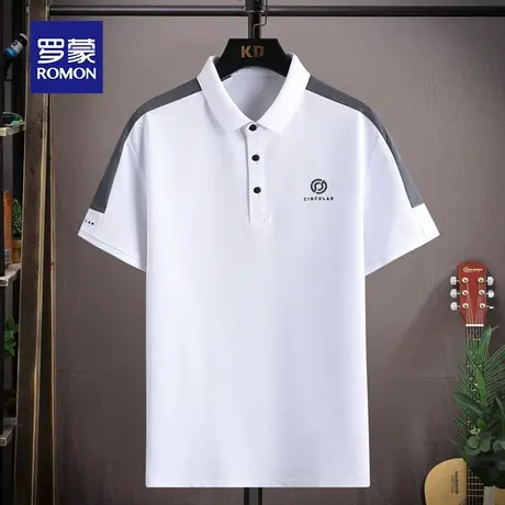 罗蒙男士短袖Polo衫夏季薄款商务休闲带翻领刺绣男装上衣冰丝T恤图片