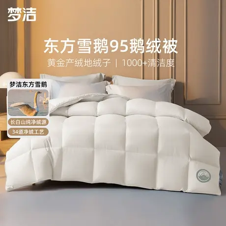 【烈儿溯源】梦洁羽绒被95白鹅绒春秋加厚保暖冬被抗菌鹅绒被芯商品大图
