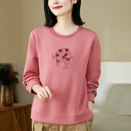 圆领正肩卫衣女士2024年春秋新款时尚洋气套头上衣服百搭显瘦外套商品大图