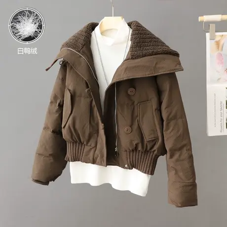 高级感超好看的羽绒服女短款2023年新款冬季小个子穿搭白鸭绒外套图片