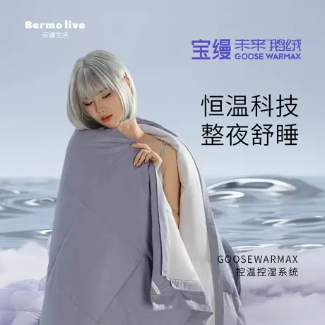 宝缦蚕丝羽绒被多合一子母被俄罗斯进口白鹅绒保暖加厚四季被冬商品大图