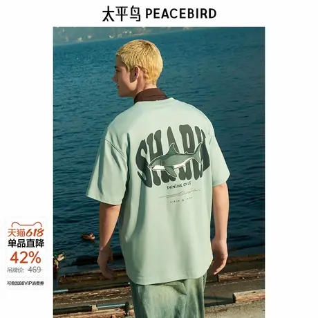 太平鸟男装 夏季新款刺绣短袖T恤男B1CNE2401商品大图
