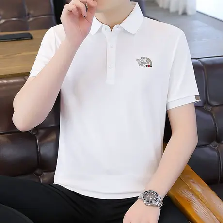 夏季polo衫男2023新款潮流潮牌翻领体恤夏装上衣男士冰丝短袖t恤商品大图