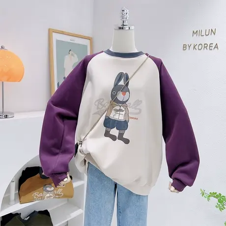 设计感银狐绒外套22秋冬款ins风韩系休闲兔子加绒厚卫衣包臀大码商品大图