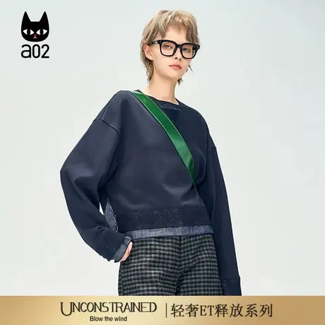 a02【ET释放系列】宽松圆领假两件卫衣女秋季新款设计感上衣商品大图