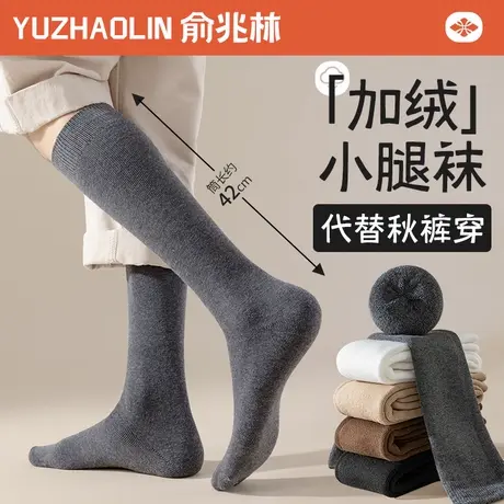 厚袜子男士小腿袜2024秋冬季加绒加厚毛圈保暖长筒袜冬天男生长袜商品大图