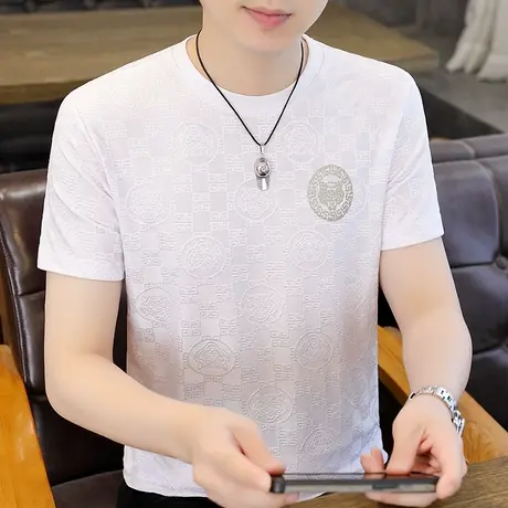 男士短袖t恤内搭2023新款夏季潮流男装冰丝半袖体恤重磅薄款衣服商品大图