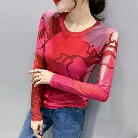 时尚圆领网纱T恤女长袖2023年新款印花小众上衣修身显瘦打底衫春商品大图