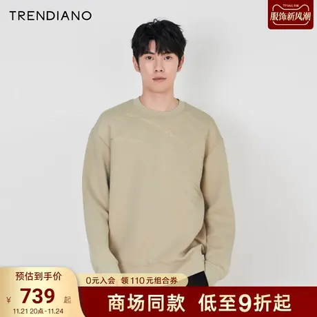 TRENDIANO官方标语刺绣宽松圆领休闲百搭卫衣男潮2023新款冬季商品大图