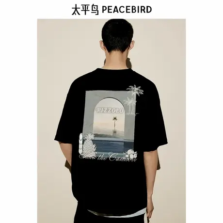 太平鸟男装T恤新款重磅宽松刺绣印花 B2CNE2607商品大图
