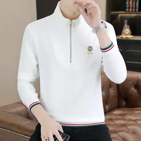 男士立领卫衣半高领长袖t恤男装潮流秋季2023年新款美式拉链外套商品大图