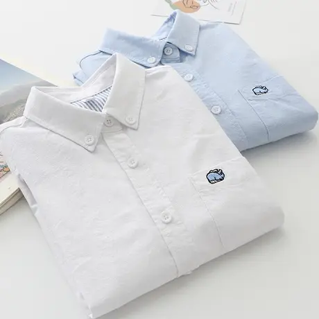 2020秋季新款韩版宽松长袖白色衬衫女士学生翻领刺绣衬衣打底衫潮图片