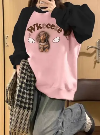 插肩袖撞色圆领卫衣女2024爆款春秋美式复古小众设计感无帽上衣潮图片