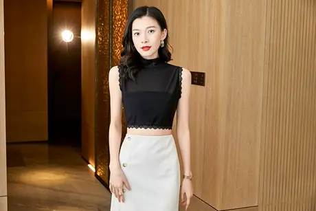 芙黛怡网纱半高领假领子女花边领高档内搭蕾丝百搭气质短款打底衫图片