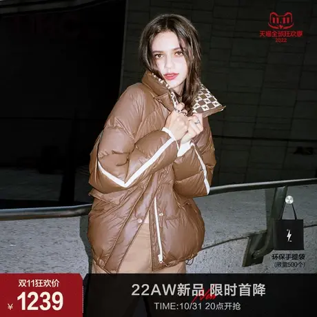LINC金羽杰2023秋冬新款立体造型感反季专柜断码女款短款羽绒服女商品大图