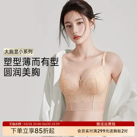 润微性感蕾丝长款鱼骨胸衣大胸显小文胸聚拢薄款纯欲风胸罩内衣女商品大图