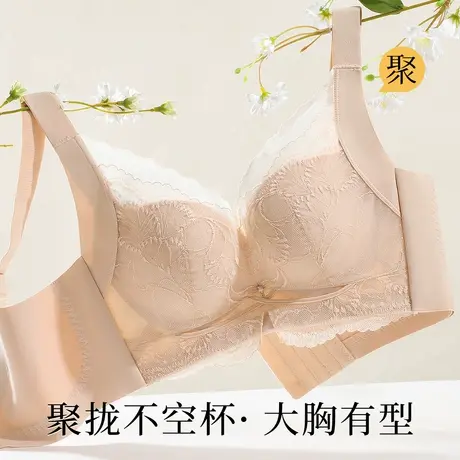 梦芭蒂小胸聚拢不空杯内衣女调整型上托收副乳防下垂新款文胸罩商品大图