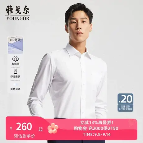 【棉涤混纺】V系雅戈尔衬衫秋冬舒适商务休闲免烫口袋长袖衬衫男商品大图