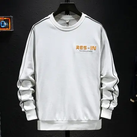 春秋季字母刺绣潮牌休闲卫衣男宽松大码潮流圆领套头上衣男装ins商品大图