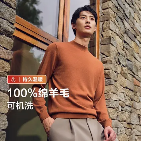 【可机洗全羊毛】红豆男装100%羊毛衫2025秋冬打底衫高品质针织衫商品大图