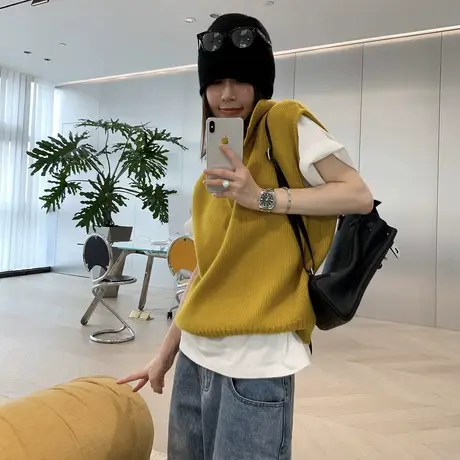 2023秋季新款polo翻领针织背心上衣女别致设计感气质毛衣马甲商品大图