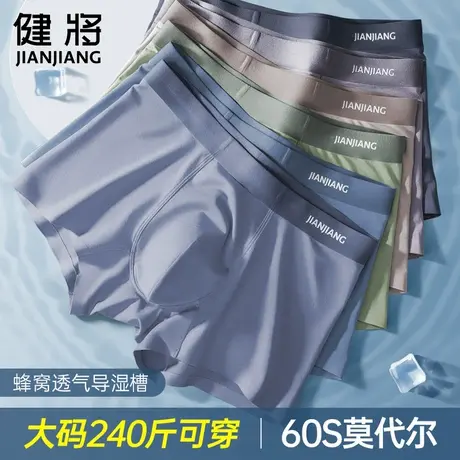 健将大码男士内裤莫代尔抑菌裆男平角裤加大加肥男式宽松四角短裤商品大图