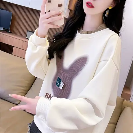 早春半高领卫衣女春秋韩版宽松设计感小众大码薄款假两件上衣外套图片