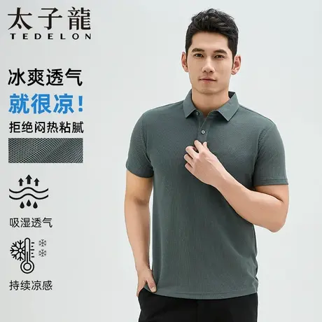TEDELON/太子龙25新款夏季凉感男士简约休闲POLO短袖吸湿排汗T恤图片