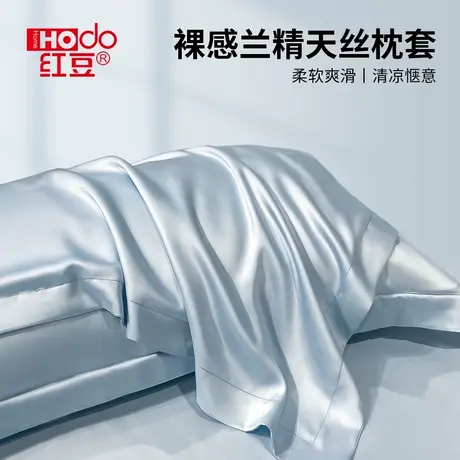 红豆兰精天丝枕套夏季凉感冰丝宽边枕头套夏凉一对装48x74cm轻奢商品大图