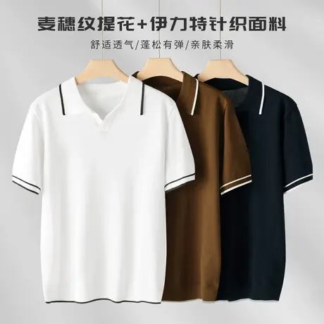 慵懒老钱风男士Polo衫2025夏季冰爽伊力特丝光提花肌理撞色海鸥领商品大图