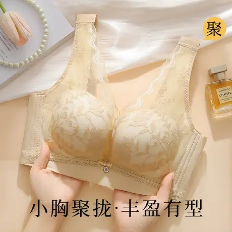 梦芭蒂小胸聚拢显大美背内衣女减压宽肩带上托收副乳防下垂文胸罩商品大图