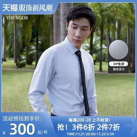 【100支TNDP】雅戈尔春秋新品男士商务休闲免烫装衬长袖衬衫男商品大图