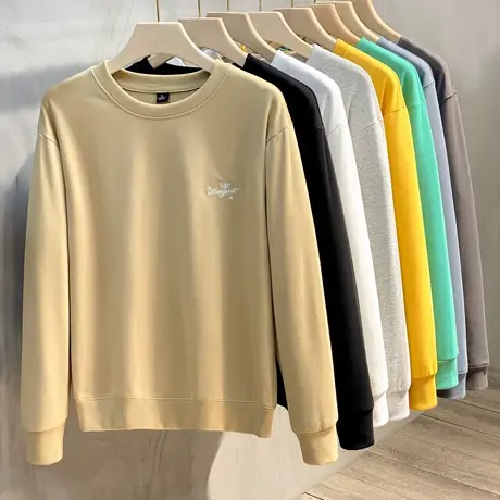 2023春秋潮牌小刺绣宽松休闲圆领情侣卫衣男套头长袖T恤打底衫商品大图