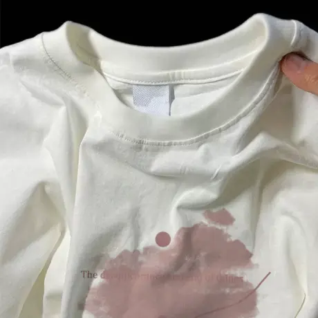 秋冬纯棉内搭上衣胖mm大码显瘦长袖t恤女潮牌ins港味简约风打底衫商品大图