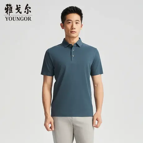 【商场同款】雅戈尔男士POLO衫夏季新款官方商务休闲短袖POLO衫男商品大图