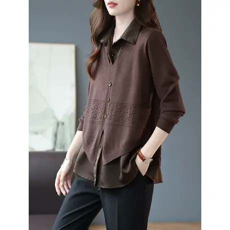 宝诗黎POLO领针织拼接假两件套头衬衫女春季长袖休闲上衣2024新款商品大图