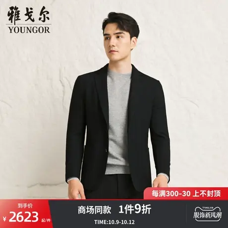 【商场同款】雅戈尔男士西服秋冬新款官方商务休闲男士单西S3969商品大图
