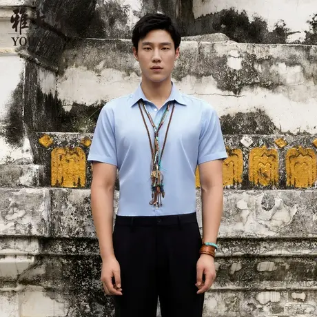 【DP免烫】D系雅戈尔衬衫夏季商务休闲柔软舒适纯棉衬衣短袖衬衫商品大图