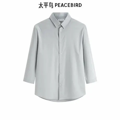 太平鸟男装暗纹提花衬衫刺绣衬衣B1CBE31图片