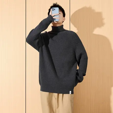 唐狮秋冬季新款高领毛衣男士纯色青少年针织毛衫高级感宽松潮TD商品大图
