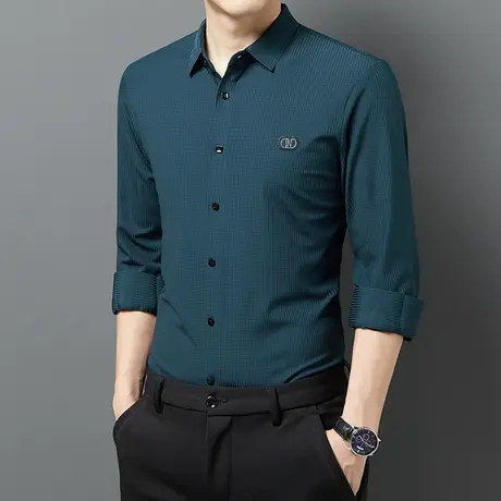 春秋季格子长袖衬衫男士休闲高档无痕免烫商务长袖衬衣男装职业装图片