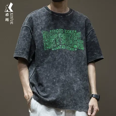 夏季250g美式重磅水洗短袖t恤男胸前腰果花体恤胖子宽松大码男款商品大图