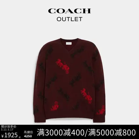 COACH/蔻驰奥莱男士马车图案V领毛针织衫毛衣图片