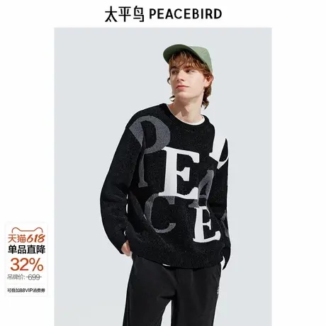 【商场同款】太平鸟男装毛衣24冬季新款雪尼尔字母线衫 B2EBE4525图片