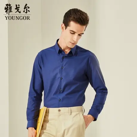 【DP免烫】D系雅戈尔衬衫秋季商务休闲舒适纯棉修身长袖衬衫商品大图